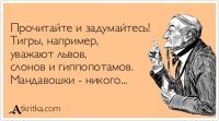 10 животных, которые ненавидят друг друга