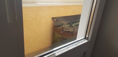 20 убойных фотоиллюзий из серии "Показалось"