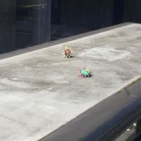 так вот кто коронавирус подкинул