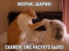 И в личной жизни у них не все просто.