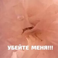 Смешные картинки и не очень