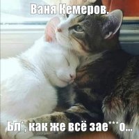Сочувствую...