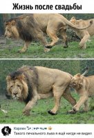 Девушки не любят когда берут их шампунь...