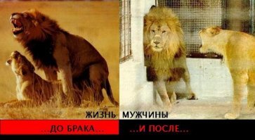 Смешные картинки и не очень
