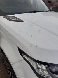 Это не "помытая машина", а чистый холст