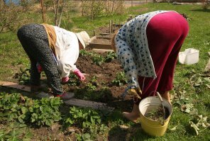 Вот и сам жесткий секс.