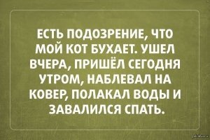 Прикольные и смешные картинки