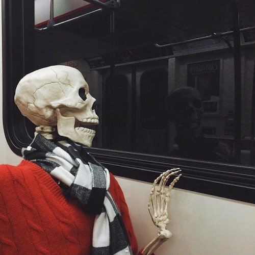 Прикольные и смешные картинки