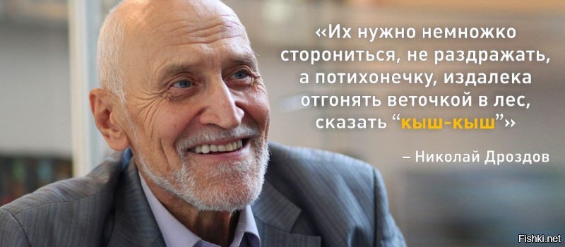 Политические комментарии из инета