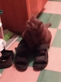 А мой вообще психанул,обулся и собрался на выход.