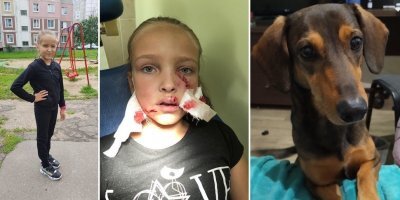 ничего смешного, в ногу успеет пару укусов наделать, прежде чем собьешь ее нафиг.