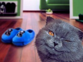 неописуемо?