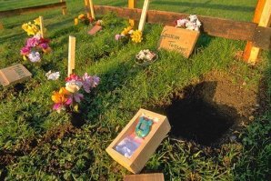 В 90-х тамагочи хоронили