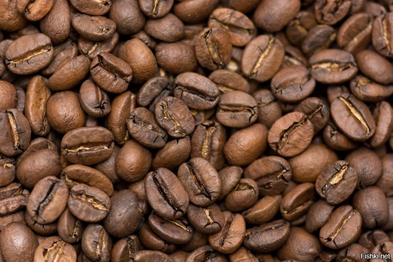 Но из-за дороговизны какао-бобов любителей кофе было не так уж и много.

Автор найди отличия. На одной картинке зерна кофе, на второй какао-бобы.