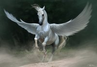 Прикольные и смешные картинки