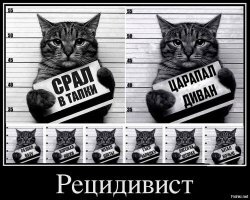 Смешные картинки и не очень