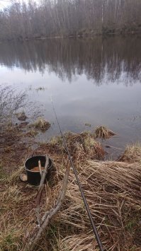 Транспортное значение каналов резко упало в 1904 году с вводом в строй железной дороги, а с 1940 года они вообще перестали использоваться для судоходства. (С) До начала 90-х было пассажирское судоходство.
 К сожалению, в настоящее время каналы превратились в заросшие и замусоренные водоемы. (С) Зарос только Петровский канал, и то только в нижней части. Фото этого года (не моё).