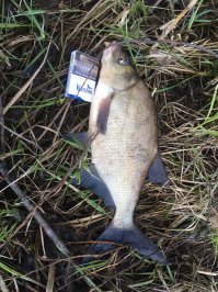 Тоже в эти выходные выбрался, даже повезло :)