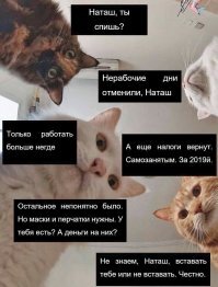 "Слышь, работай!": в рунете обсудили выступление ВВП