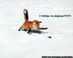 Это были салочки.