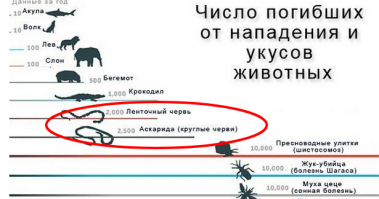 А это типа очковые змеи...
