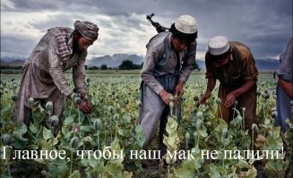 НАСА опубликовало спутниковые снимки цветущих маковых полей в Калифорнии