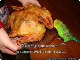 Смешные картинки и не очень