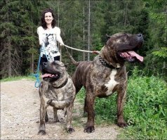 Смешные картинки и не очень