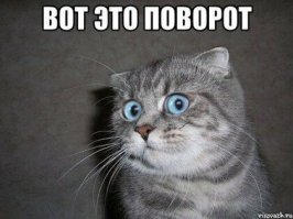 Чиновницу, высказавшуюся о «скулящих» семьях с детьми, уволили