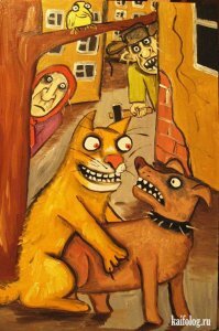 Видели видео. Как кошка с собакой