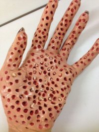 Ты петушара!

Я же не про себя написал!
Я написал не смотреть тем, у кого Трипофобия!!!