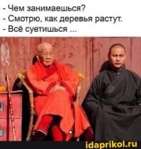 Прикольные и смешные картинки