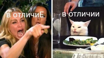 Прикольные и смешные картинки