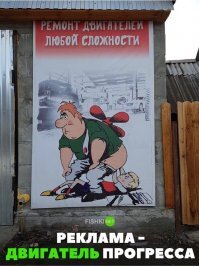 Прикольные и смешные картинки