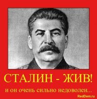 Прикольные и смешные картинки