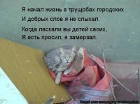 Прикольные и смешные картинки