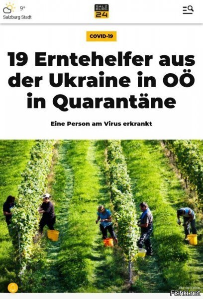 в "хим.\био" атаку пошли...вах :)