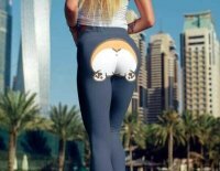 Зачем она села на корги и куда идет в попе с ним?