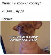 Прикольные и смешные картинки