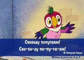 Прикольные и смешные картинки