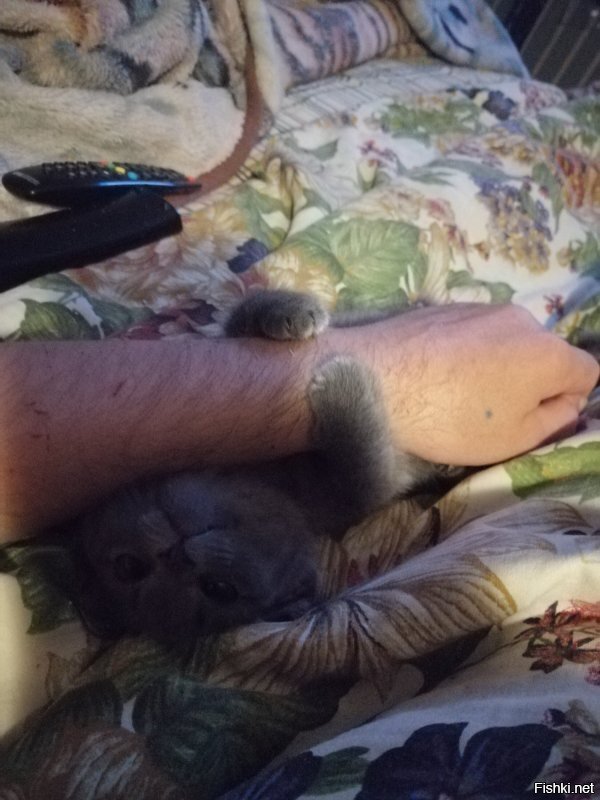 Смешные картинки и не очень