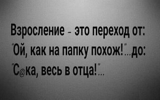 Прикольные и смешные картинки