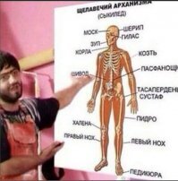 Подборка автомобильных приколов