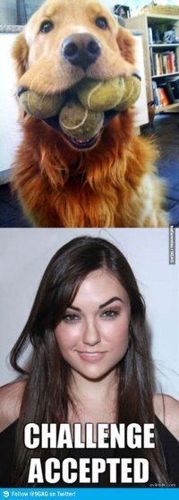 Прикольные и смешные картинки