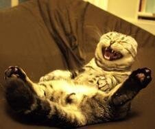 Смешные картинки и не очень