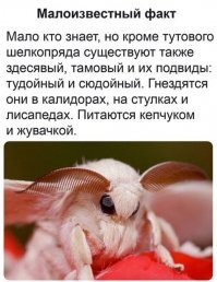 ТОП-10 самых распространенных слов, в которых многие совершают ошибки