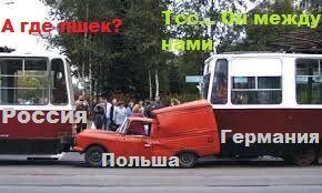 Прикольные и смешные картинки