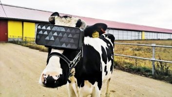 Видеоклипы лучше заходят.