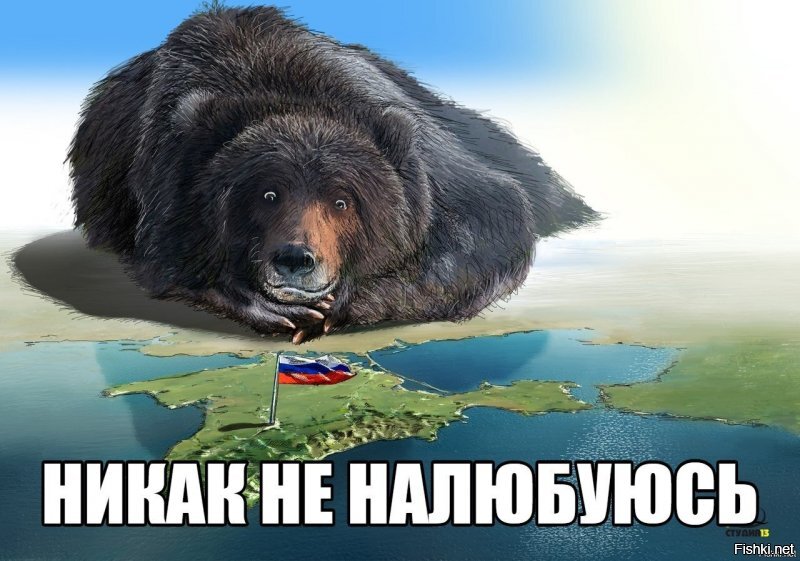 Зачем? Крыму и так хорошо.  А ты, кострюлеголовый, зацени, где медведь лежит.