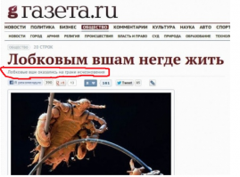 Прикольные и смешные картинки